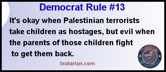 democrat rule 13