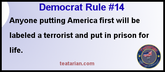 democrat rule 14