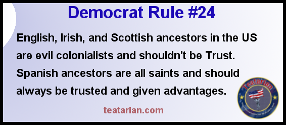 democrat rule 24