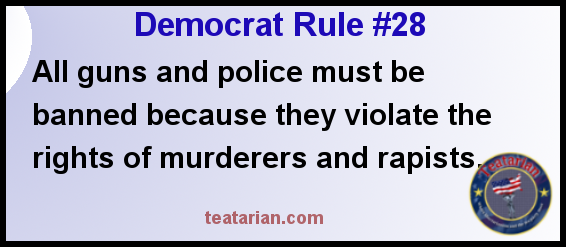 democrat rule 28