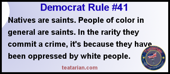 democrat rule 41