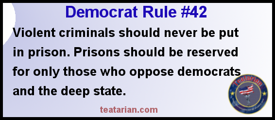 democrat rule 42