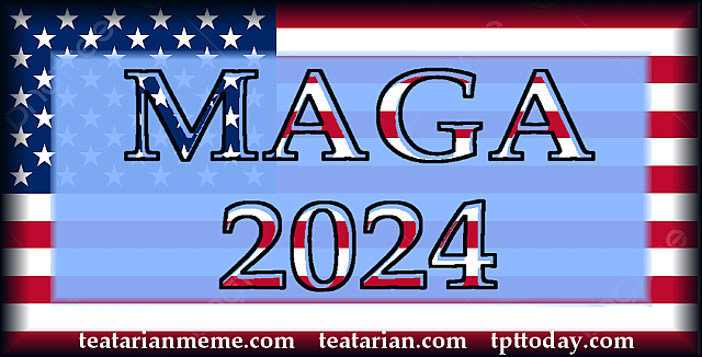 maga flag 2