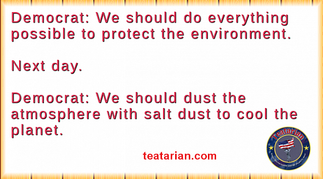 dem environment salt the air