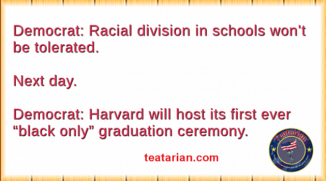 dem harvard inclusive