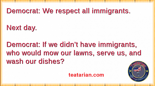 dem immigrant servers