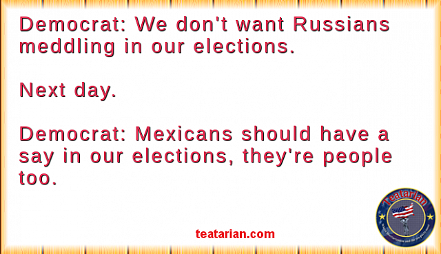 dem mexican voting 2