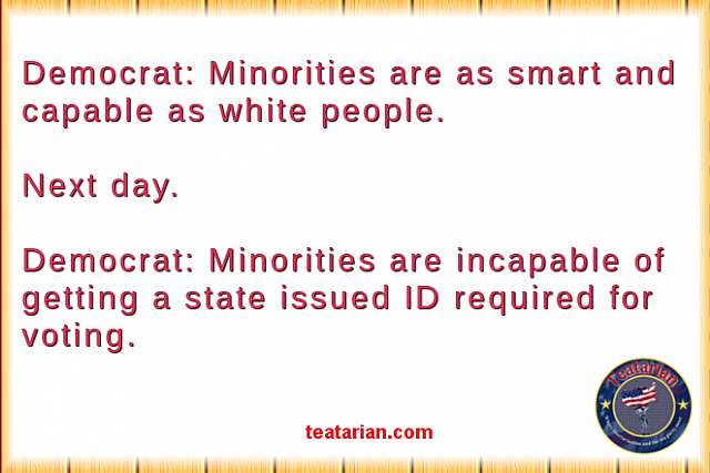 dem minority voting