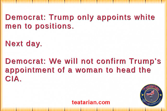 dem trump appointees