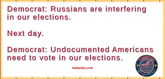 democrat illega,l voting russians