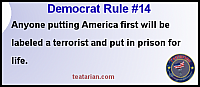 democrat rule 14