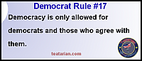 democrat rule 17