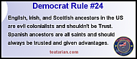 democrat rule 24