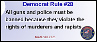 democrat rule 28