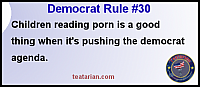 democrat rule 30