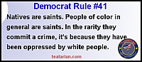 democrat rule 41