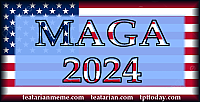 maga flag 2