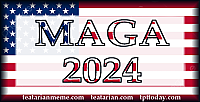 maga flag