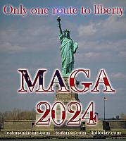 maga liberty 2