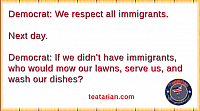 dem immigrant servers